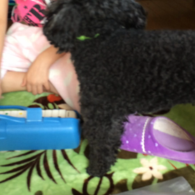 ジュリーの特技⁈の画像