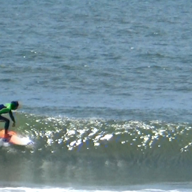 DFG。。。の画像