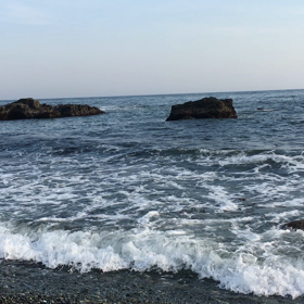 大磯里帰り♬の画像