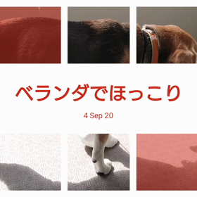 断捨離＆模様替えの画像