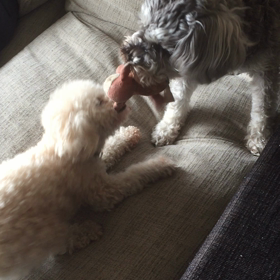 どっちが勝った？の画像