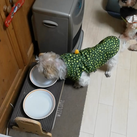 いつものルーティンの画像