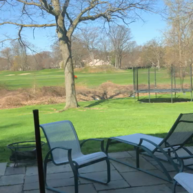 犬？と思ったらコヨーテ in NY郊外の画像