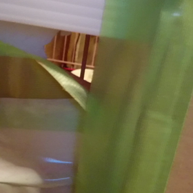 れいちゃんの仕業？(((・・;)の画像