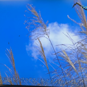 チューリップテレビ　利賀の秋の画像