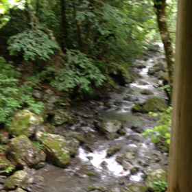 ガンクドラムヒーリングの画像