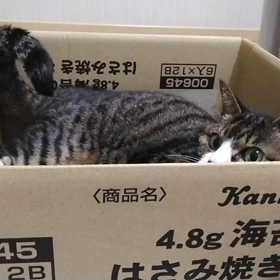 うめさんとの握手動画の画像