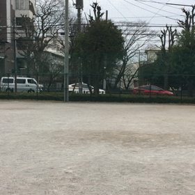 草野球もキャンプ入り？の画像