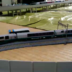 今朝も快調の画像