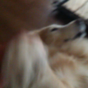 朝の体操の画像