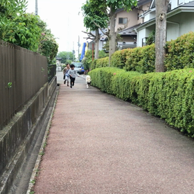 走れ  ネオ❗️の画像