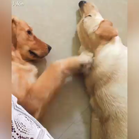 究極のカウンセリングの画像