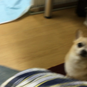 どうして欲しい？の画像