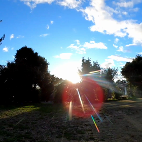 オリオン座流星群の画像