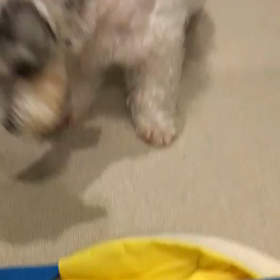 新たな天敵❗️ 未知との遭遇・・今度は、なに⁉️の画像