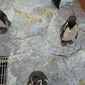 マリンピア日本海4の画像