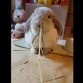 ただ食べるだけの画像