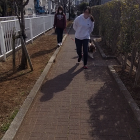 おさんぽとナイスショットの画像