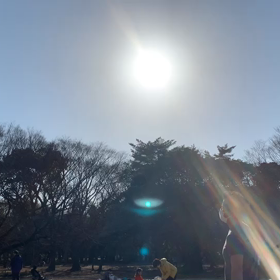 1月16日12わんこと2時間30分遠足　代々木公園表参道の画像