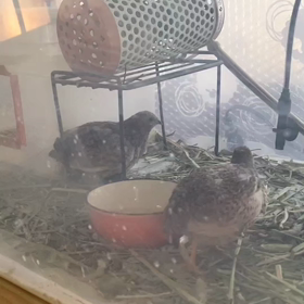 分業制のようです❗（パート２）の画像