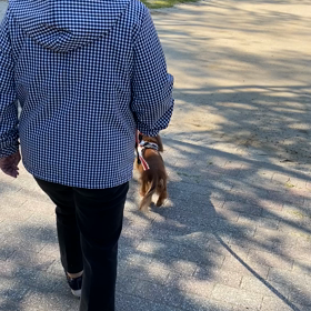 母のお泊まり&ジェラシーの画像