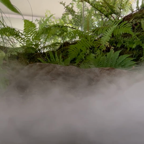 お知らせの画像