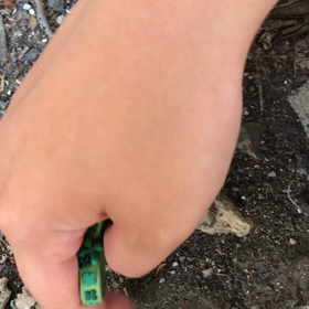 自宅での１コマ（虫が苦手な方はスルーで）の画像