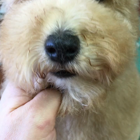 単発、二つ目╰(*´︶`*)╯♡の画像