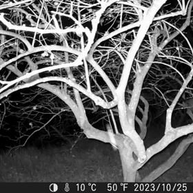 すぎぴたんの事件簿シーズン3　418話（アクロバティックなハクビン）の画像