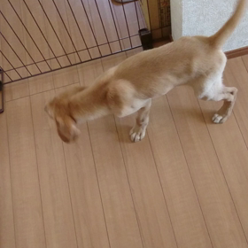 はじめてのの画像