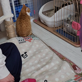 出てないの‥の画像