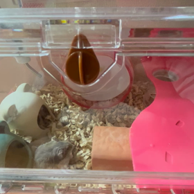 嬉しいな　金曜日っての画像