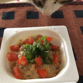 やっと病院…結果は？ 保護猫デールと納豆ご飯。の画像