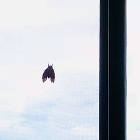 乗り換えも一苦労…の画像