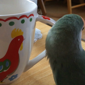 再び奏でるの画像