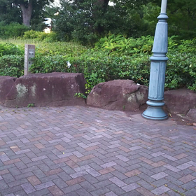 見つけた～の画像