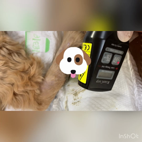 半導体レーザー。の画像