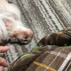 ヒマになると…の画像