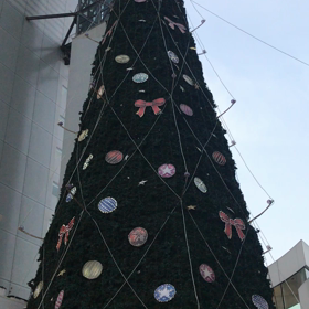 クリスマスツリー点灯式の画像