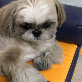 ♪プレイルーム動画♪②の画像