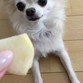 りんごの季節の画像