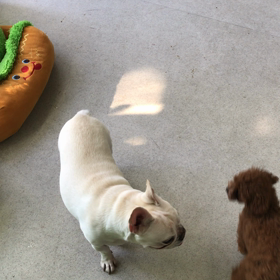 ♪年末年始のプレイルーム動画♪⑥の画像