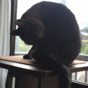 日常業務の画像