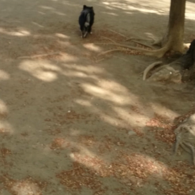 二人でーの画像