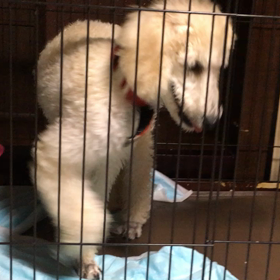 遊び道具の画像