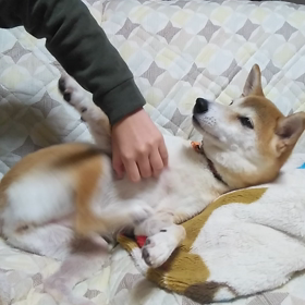 カキカキ、しちゃうのよねの画像