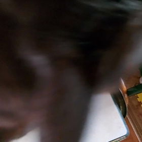 チュールさまさまじゃ(^o^)の画像