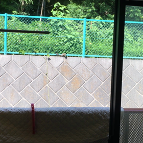 34w 着る服に困るの画像