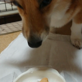 おまけです。の画像