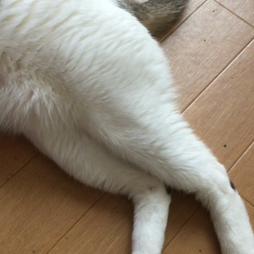 ストーブはそろそろおしまいの画像